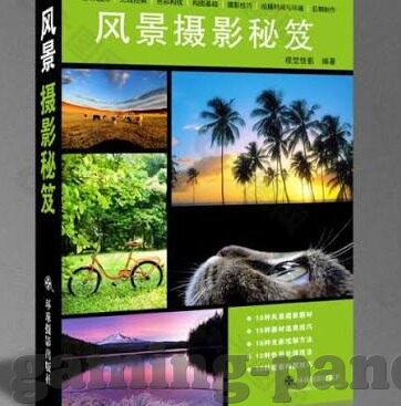篮球世界杯赔-篮球世界杯赔率的奥秘，从数据到策略的深度剖析